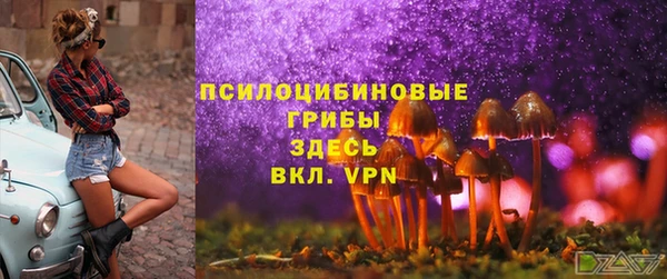 крисы Кукмор