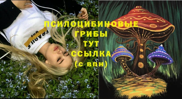 гашик Кулебаки